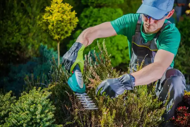 landscaping services Yonkers